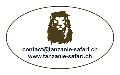 Logo Tanzanie Safari CH - tanzanie-safari.ch